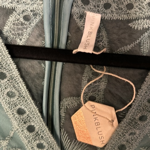 Pinkblush sage Maxi Dress - Picture 9 of 15